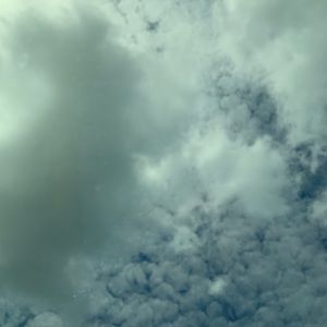 Meet your Posher, Ann